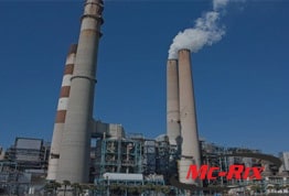  poer plant homepage image